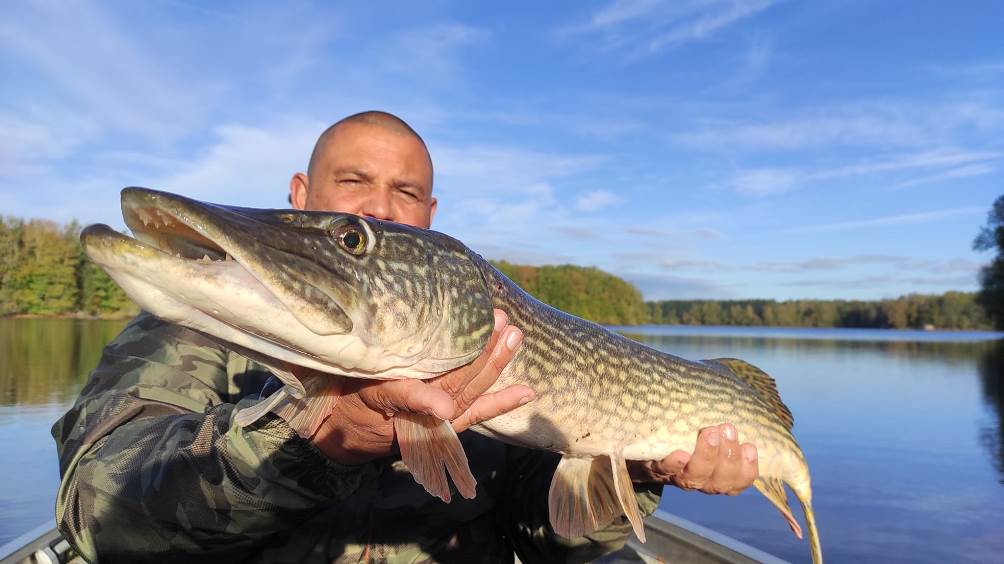 Carousel Pêche brochet auvergne