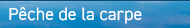 Pêche carpe Auvergne