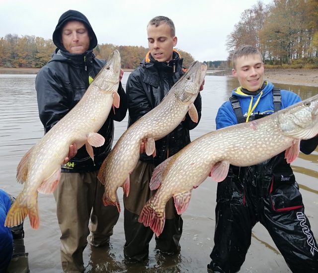 La pêche des brochets, et autres carnassiers