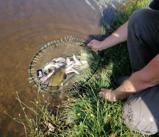 La pêche au coup