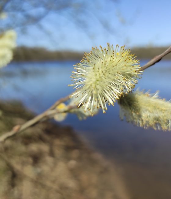 A découvrir / Côté Creuse